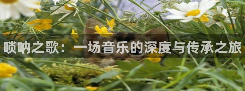 樱桃小视频手机在线播放