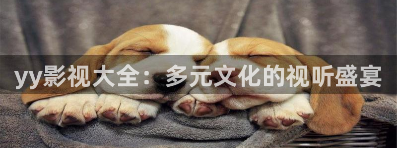 樱桃视频无限观看码