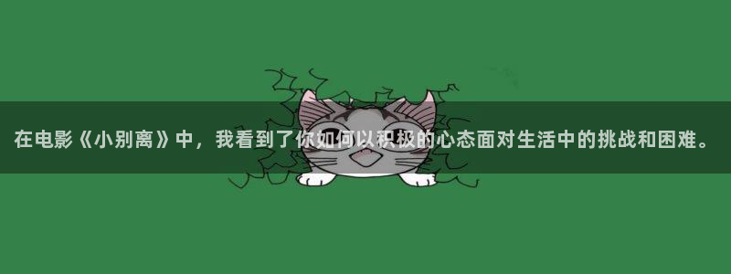樱桃视频看色