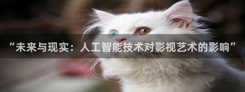 红樱桃在线视频
