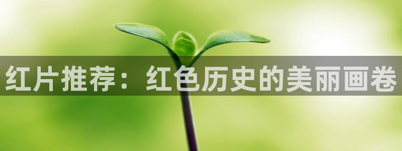 樱桃视频app下载安装安卓