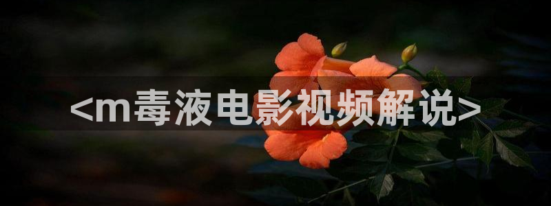 樱桃视频下载安装无限