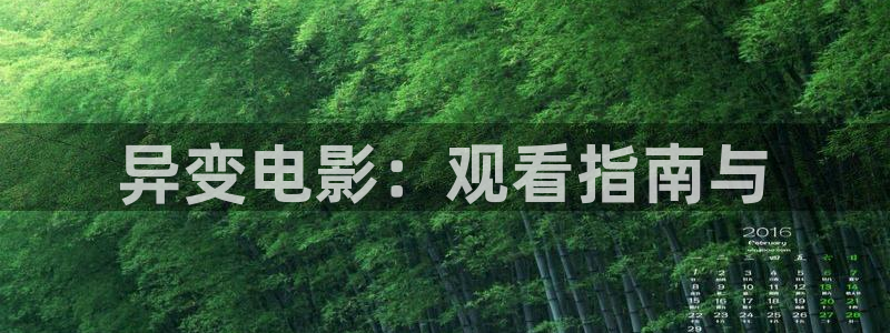 樱桃视频正在播放
