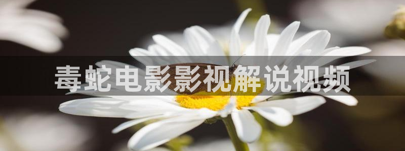 樱桃视频大全免费高清版