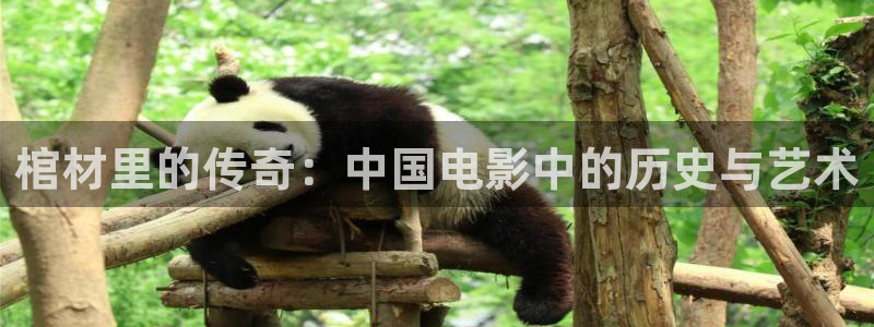 樱桃短视频app
