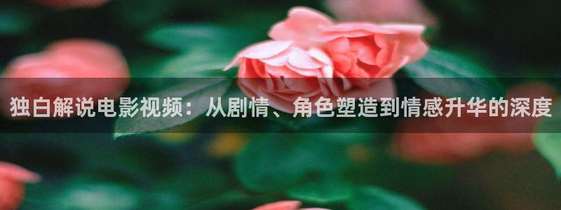 樱桃视频网站免费下载