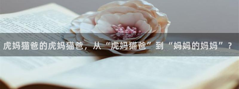 樱桃视频最新地址