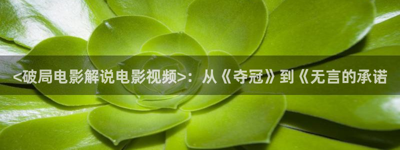 樱桃视频首页入口