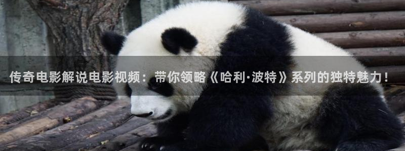 污樱桃视频