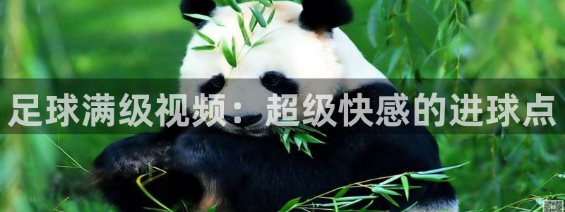 污污污樱桃视频