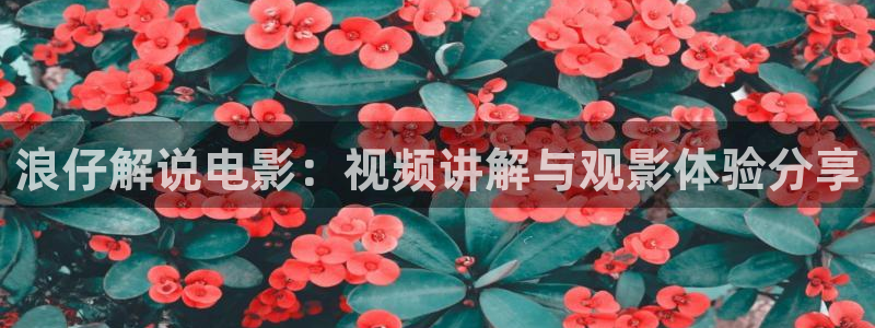 樱桃视频yt97