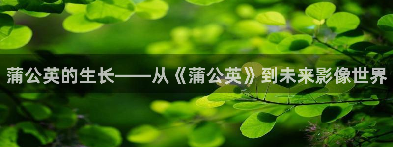 樱桃视频成人在线观看