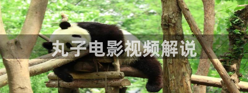 樱桃视频ios在线观看