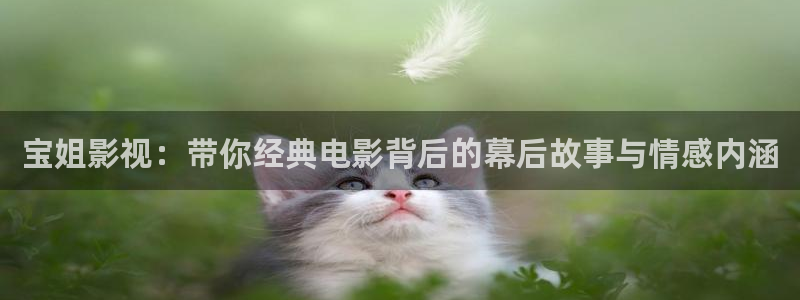 免费观看樱桃视频