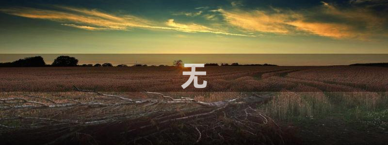 樱桃视频高清观看