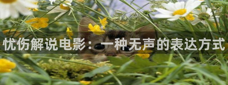 樱桃视频后入
