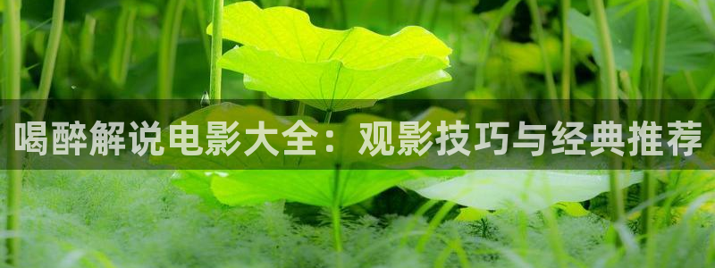 樱桃电视剧免费观看网站