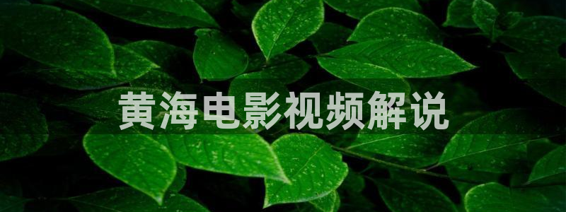 樱桃发芽视频