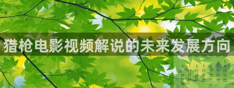 樱桃小视频和短视频入口