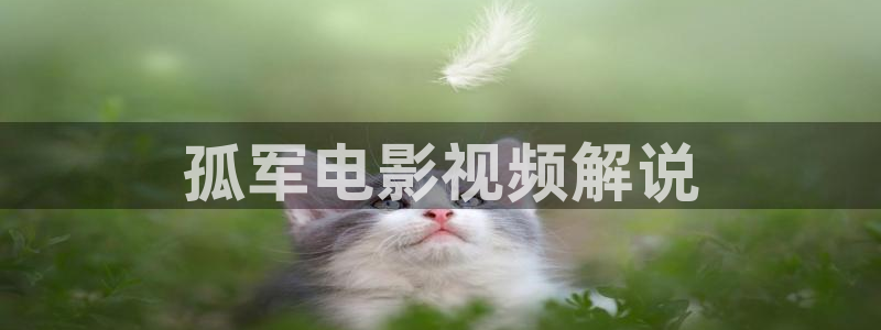 樱桃视频yt97