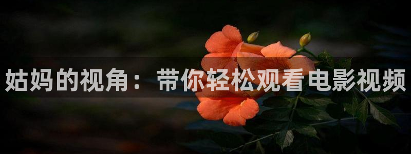 樱桃视频大全免费