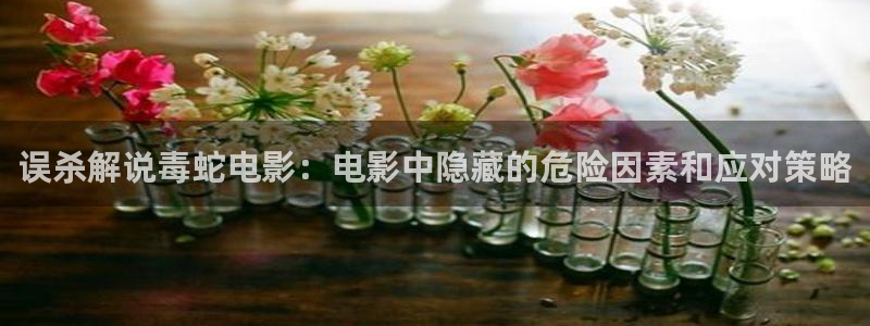 樱桃小视频成人