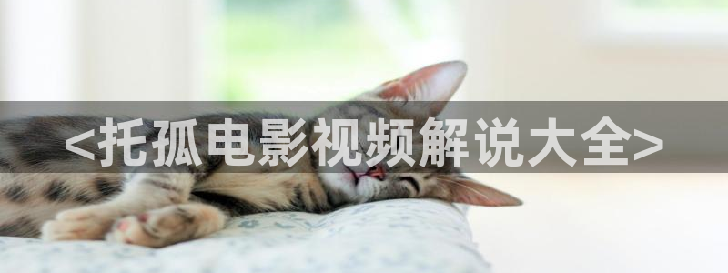 樱桃app