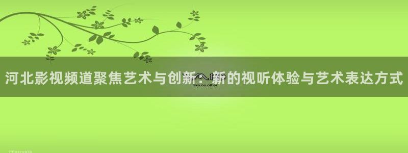 9樱桃视频