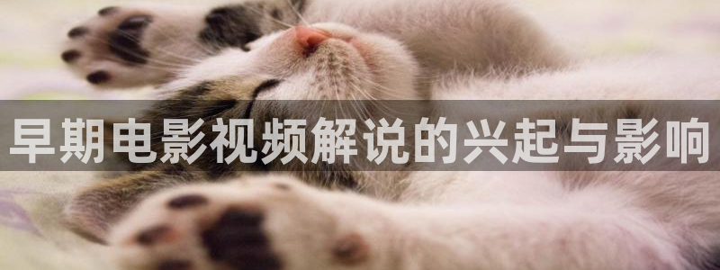 樱桃免费高清电视剧在线观看