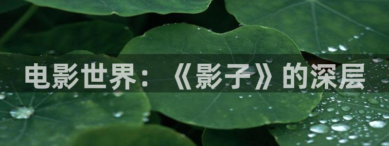 樱桃视频聊天软件下载
