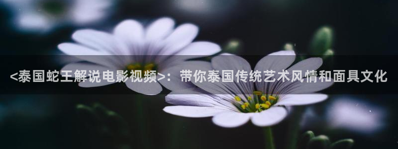 樱桃视频高清在线观看免费视频