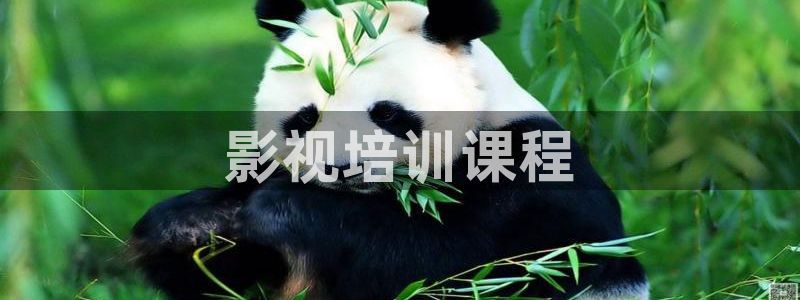 樱桃3.0