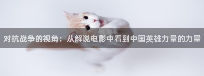 樱桃琥珀电视剧免费看