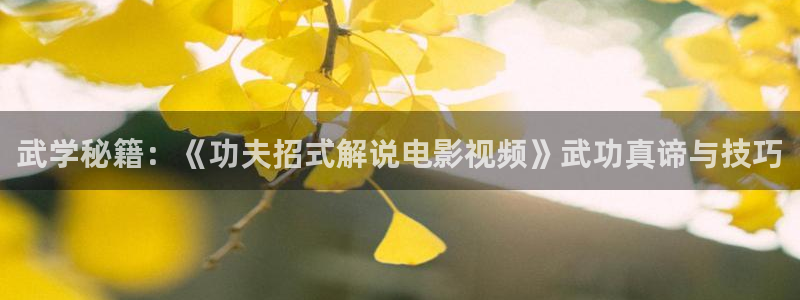 樱桃视频下载最新版